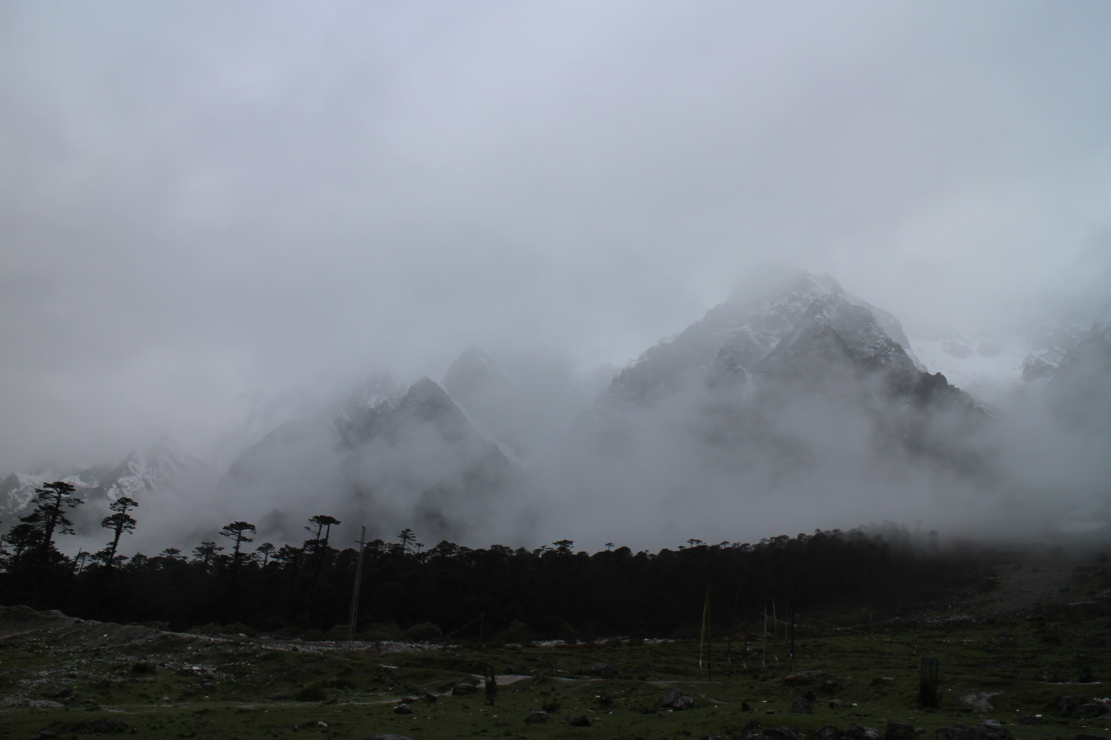Himalayan Valley Terroir of Uttarakhand